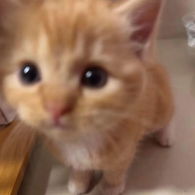 Mioyy6r's profile picture