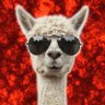 Фото профиля Master Alpaca