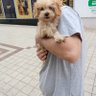 Mrkmrk 的头像
