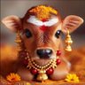 दिनेश राव आर्य (KRT)'s profile picture