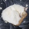 Profilbild von ELLE720