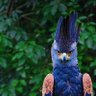Фото профиля Falcon Doncaster. صلوعلى النبيﷺ