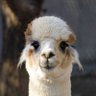 Profilbild von earth