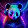 Dark Bikes's profile picture