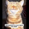luculus69 profil fotoğrafı
