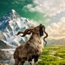 Asian Markhor 🇵🇰🤍💚 profil fotoğrafı