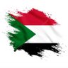 MO - SULIMAN🇸🇩 的头像