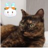 ЀПÑП пÑПÑÐžÐ»Ñ æçŽä»ãã®Neko_doreið¯ââïžðžð¥ðð
