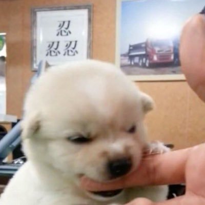 쭉's profile picture