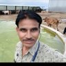 Kamlesh Badodiya's profile picture