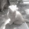 みや。 profil fotoğrafı