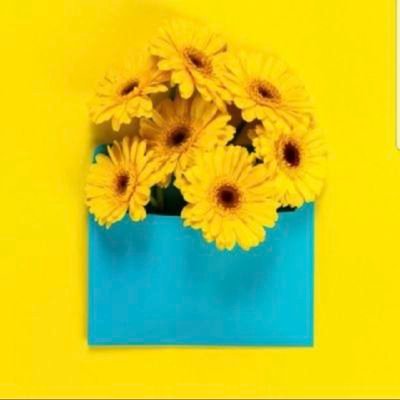 not_imp0ssible's profile picture
