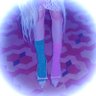 vrmnll 阮明 ꫂ ၴႅၴ's profile picture