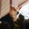 Gene L's profile picture