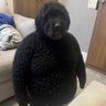 ynmonty's profile picture