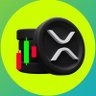 XRPALDIA 的头像