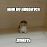 voltea 的头像