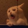 Profilbild von 就给我吃一口吧