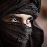 ابو عبد الله's profile picture
