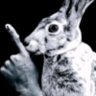 Nous Ammes's profile picture