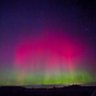 Aurora Bor 的头像