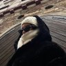 رهف's profile picture