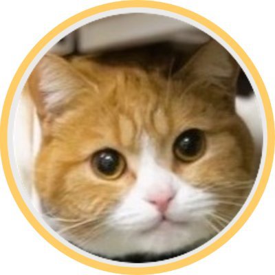 タマ王 TAMAO🐈👑's profile picture