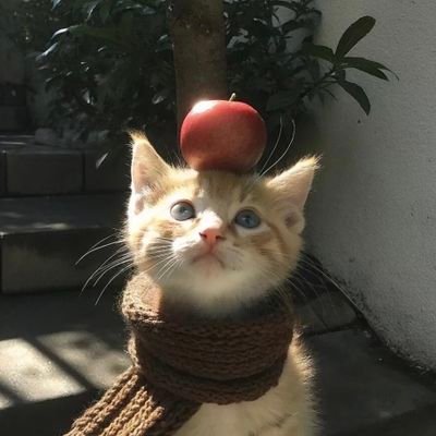 hhhhhhhh1019205's profile picture