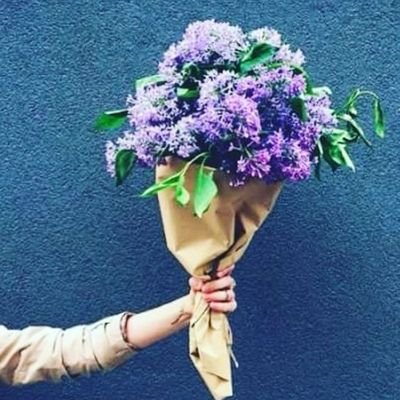 denizzimm's profile picture