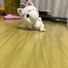 くらり's profile picture