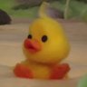 maci 🐥 的头像