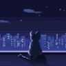 Moonl1ght1987 profil fotoğrafı