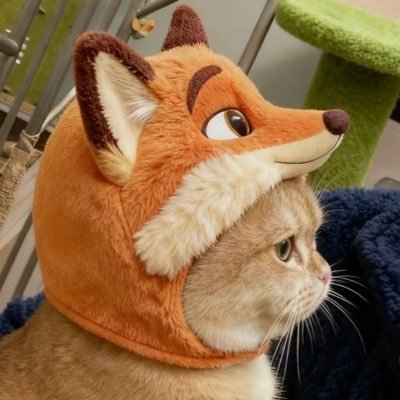 feellingJK's profile picture
