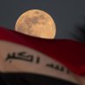 🇮🇶ابن اوروك🇮🇶 profil fotoğrafı