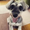 Profilbild von MOMO