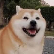 santibieza's profile picture