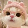小橘子🍊 profil fotoğrafı