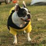 Cyrano's profile picture