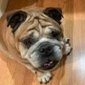 Otis profil fotoğrafı