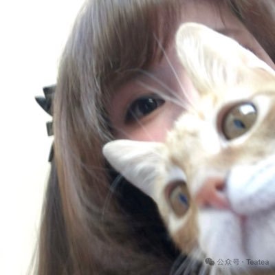 雪's profile picture