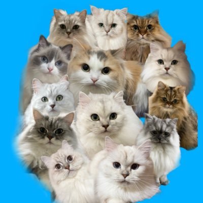 miunanayuna's profile picture