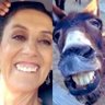 Profilbild von andres