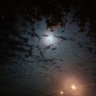ทุกคนมีด้านมืดเสมอ's profile picture