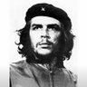 Товарищ🇨🇳's profile picture