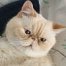 Profilbild von JB79