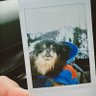 MIWWIMSL789 🍀🦖🚗🐶🐻❄✨💫 profil fotoğrafı
