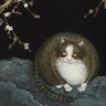 Dissje's profile picture
