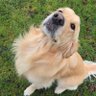 Profilbild von Maggie.
