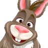 JackRabbit 的头像