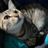 まど's profile picture